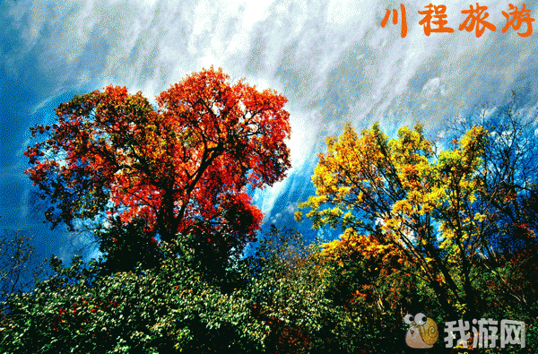 米亚罗11.gif