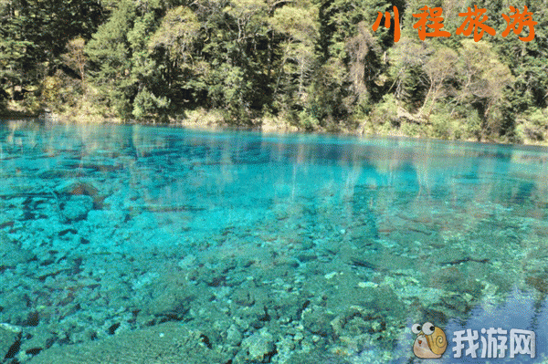 九寨沟4.gif