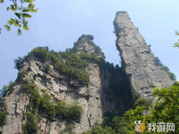神鹰护鞭.jpg